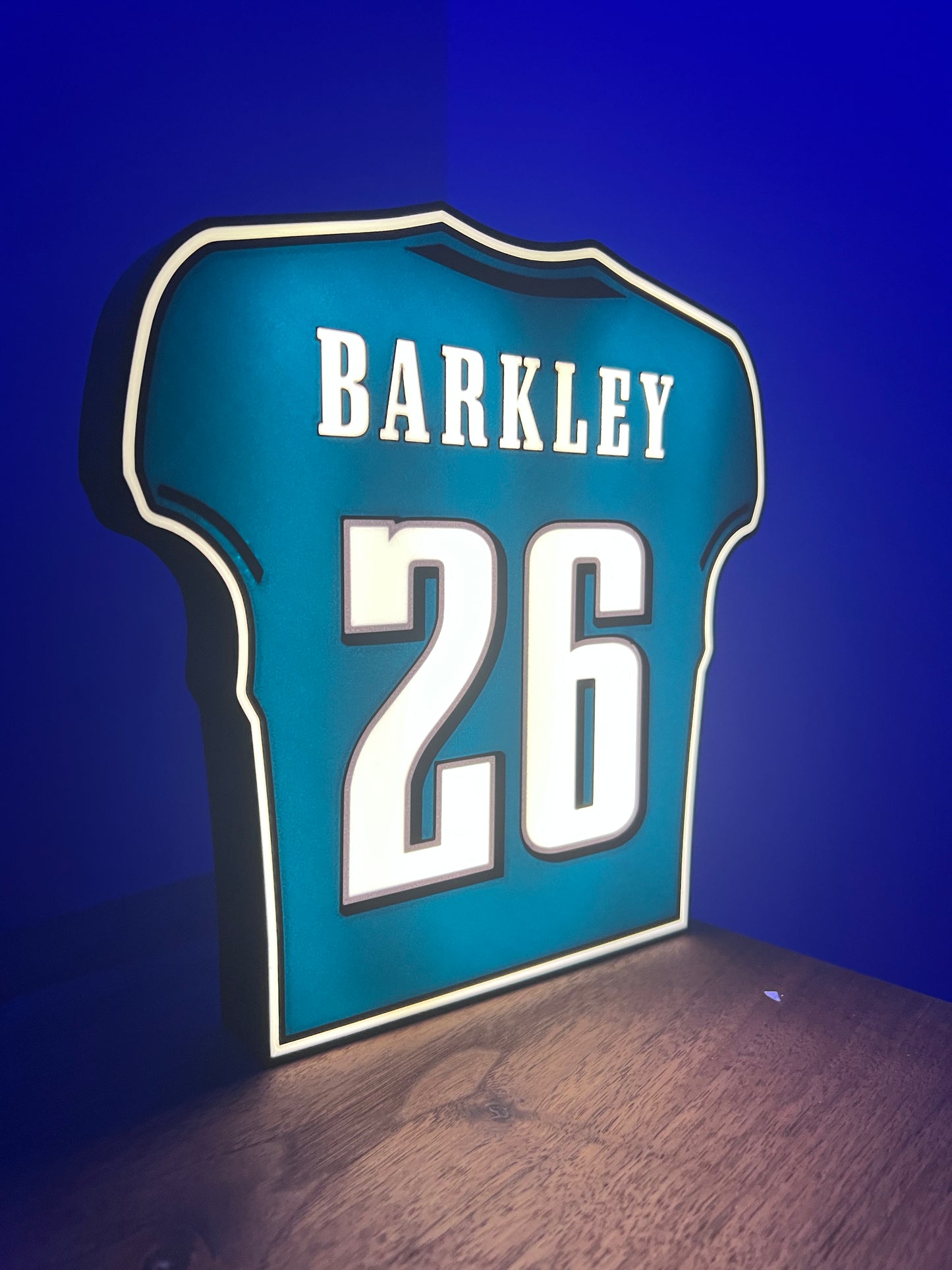 Barkley Jersey 26 Lightbox